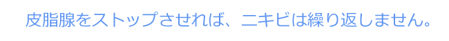 皮脂腺をストップ